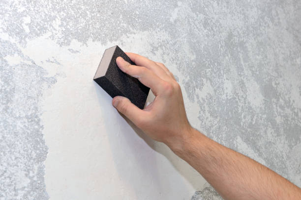 Mold Documentation for Insurance Claims in Tri City, OR