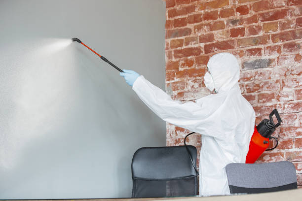  Tri City, OR Mold Removal Pros
