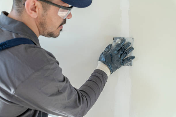 Best Black Mold Removal  in Tri City, OR