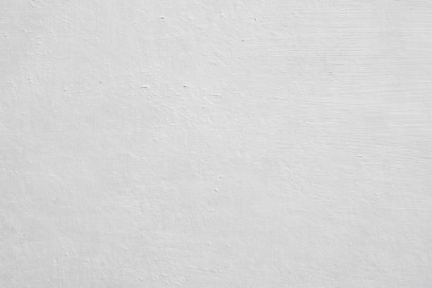 Mold Remediation for Vacation Homes in Tri City, OR